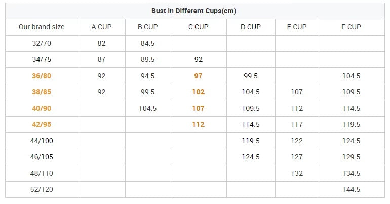 Half Cup Underwire with Adjustable Straps Push-Up Bra - C Cup