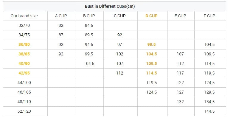 Comfortable Lace with Adjustable Straps Underwire Bra